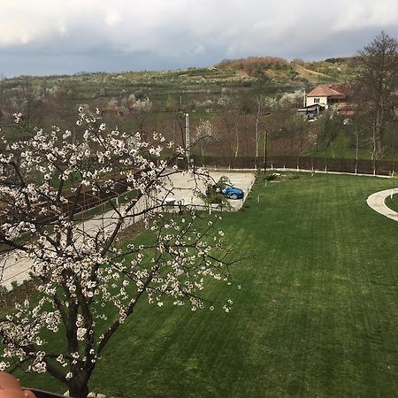 Pensiunea Amurg Mesesenii de Sus Eksteriør bilde